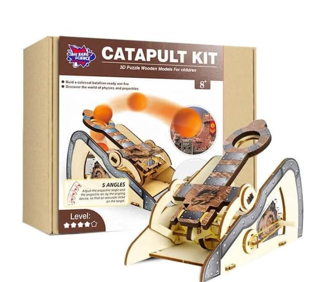 LIVEVIE 3D Wooden Catapult Kit STEM Toy for Kids, Includes Panels,
