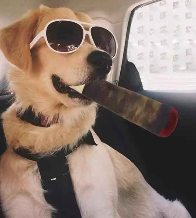 Funny Interactive Dog Toys - Cigar Design Plush Squeaky Pet Toys Grinding Teeth Creative Chew Toy For Small Medium Dog